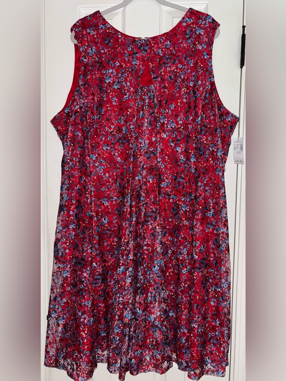 Roz & Ali Sleeveless Fit & Flair Dress Women's Plus Size 24w Floral Lace Lined